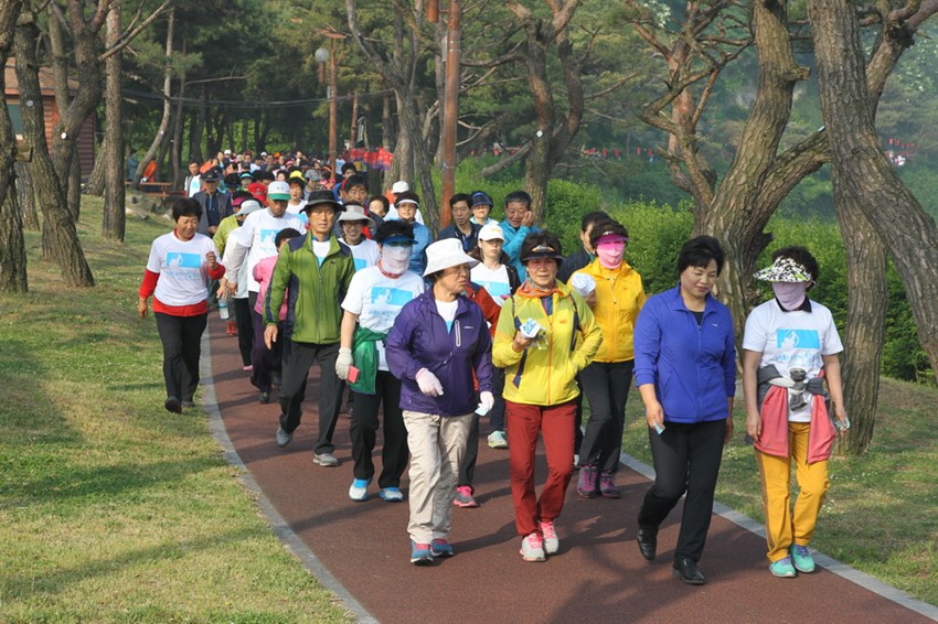 3.2015 예천군민 한마음 걷기대회 개최